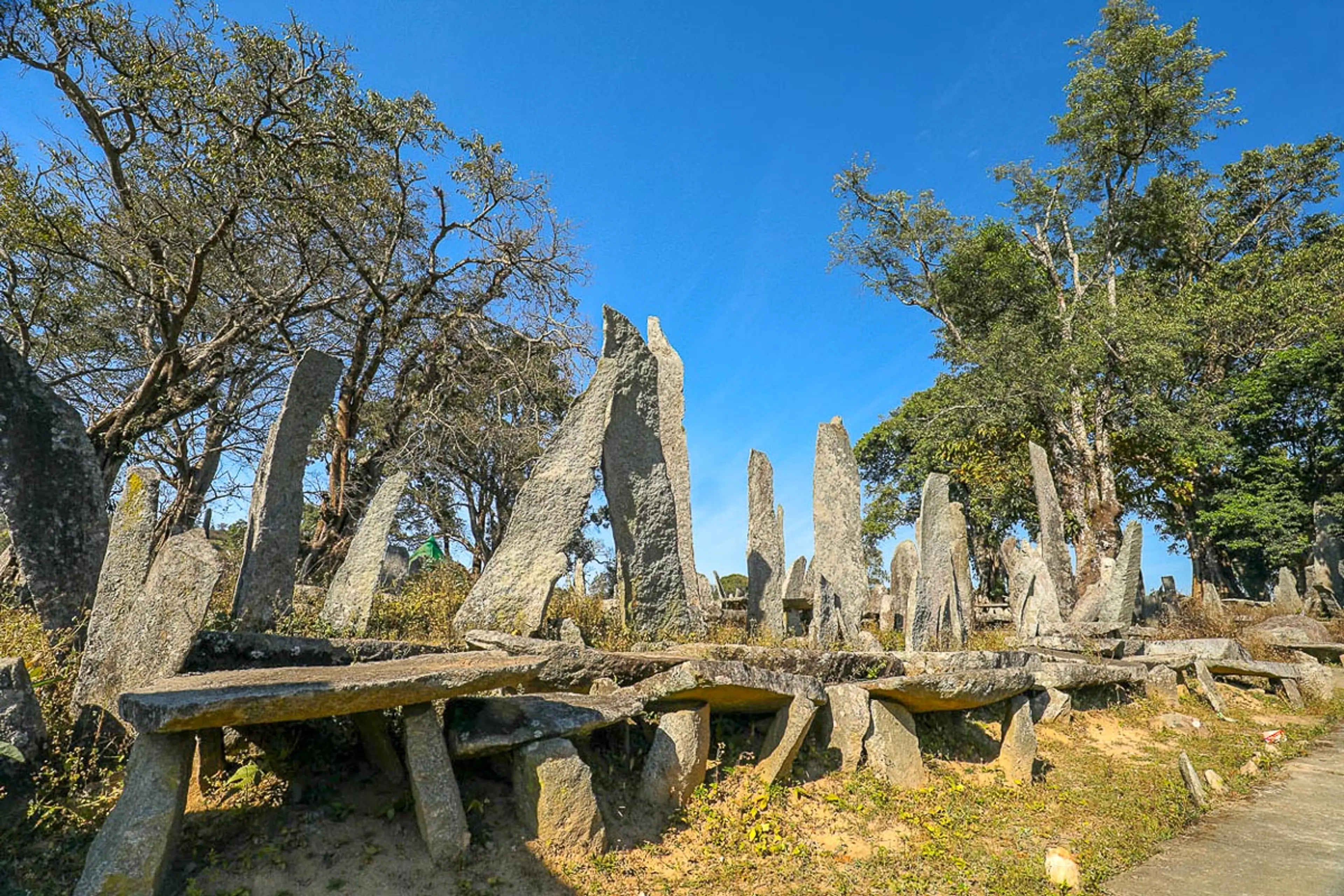 Nartiang Jaintia hills meghalaya 1B8A8932
